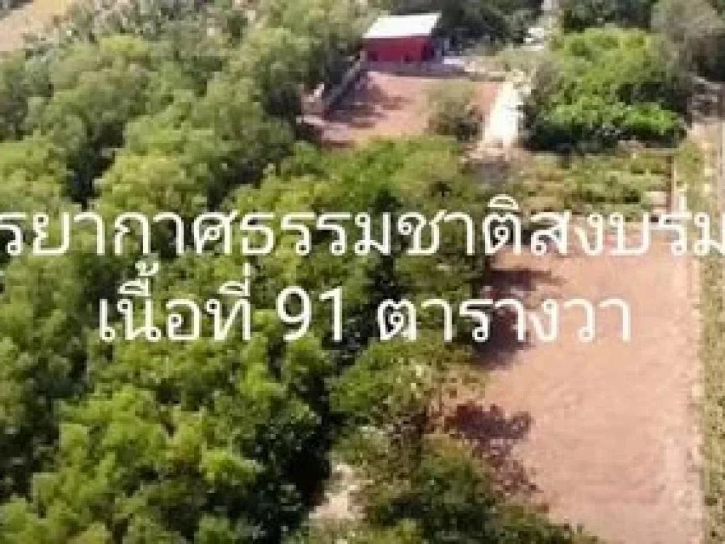 โครงการบ้านสวนพลูวิลล่าคลอง 8 บ้านใหม่ ทำเลดีที่สุดอำเภอหนองเสือ จปทุมธานี