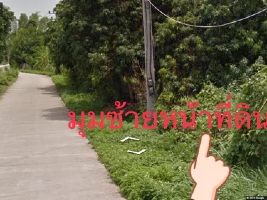 ขายที่ดิน 2-1-39 ไร่ ทำเลดี ตแม่ใส อเมืองพะเยา จพะเยา