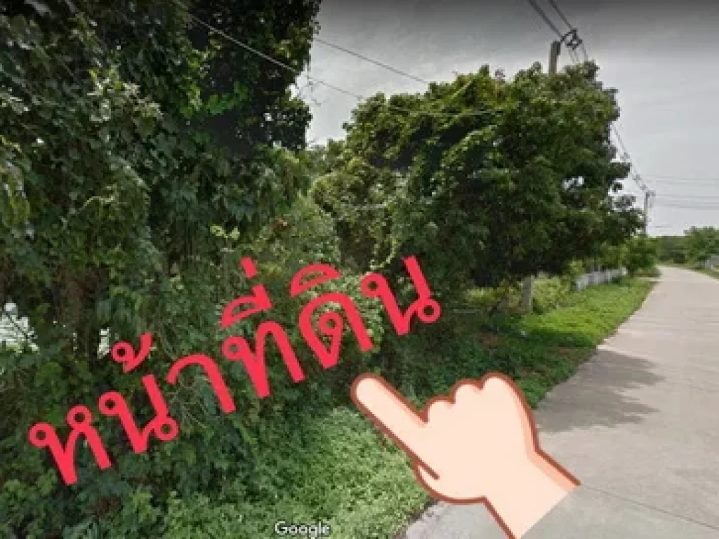 ขายที่ดิน 2-1-39 ไร่ ทำเลดี ตแม่ใส อเมืองพะเยา จพะเยา