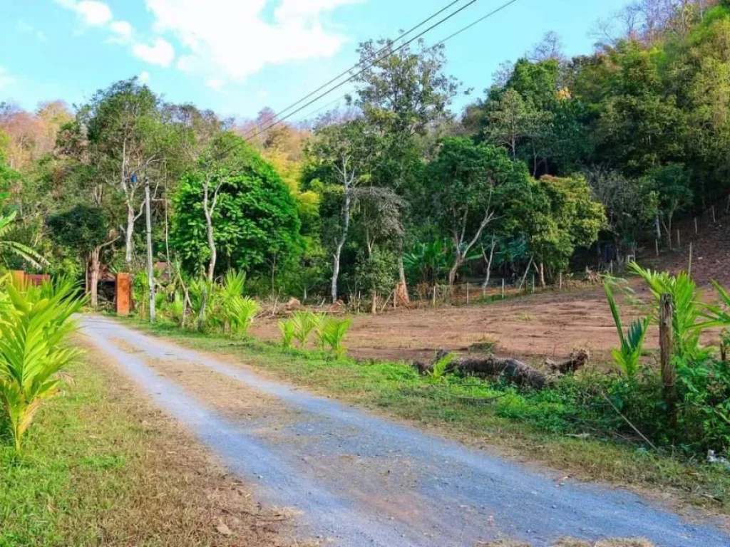 ขายที่ดินเนินดอย แม่วาง แม่วิน ราคาถูก