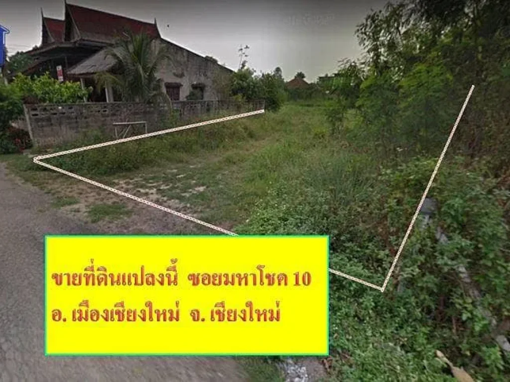 ขาย ที่ดินเปล่าพื้นที่ 12-3-42 ไร่ ตช้างเผือก อเมือง จเชียงใหม่