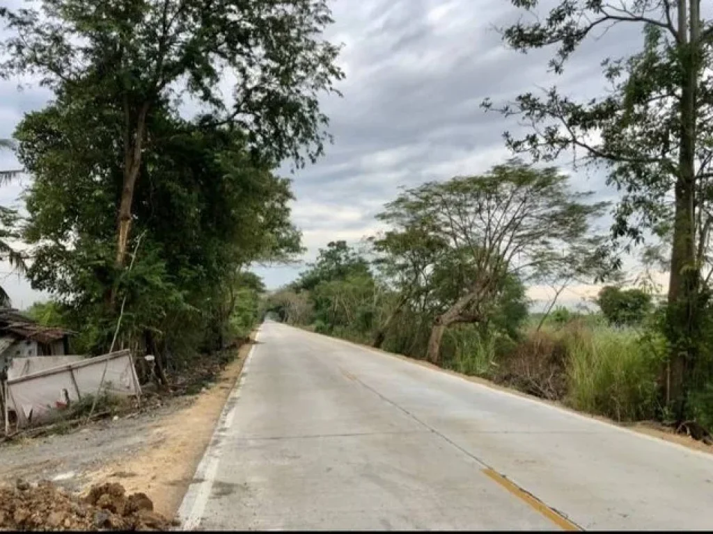 ขายที่ดินคลอง 13 สวนเกษตรแปลงสวย จองแล้ว 2 ล็อค รูปที่สวย 200 ตรว แปลงหน้าติดถนนลาดยาง