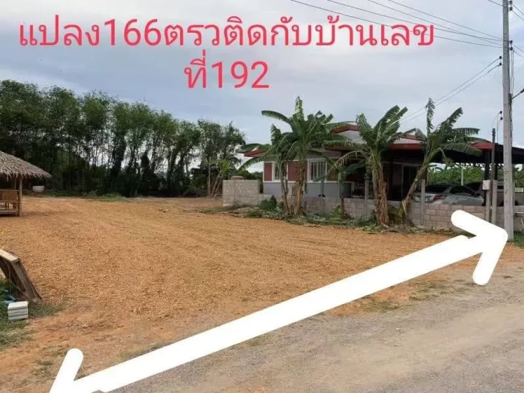 ขายที่ดินเปล่า166ตรว