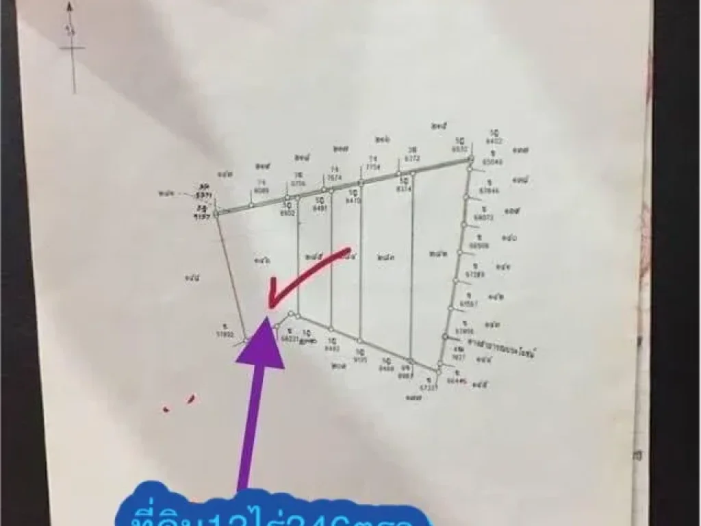 ขายที่ดินเปล่า13ไร่300ตรว