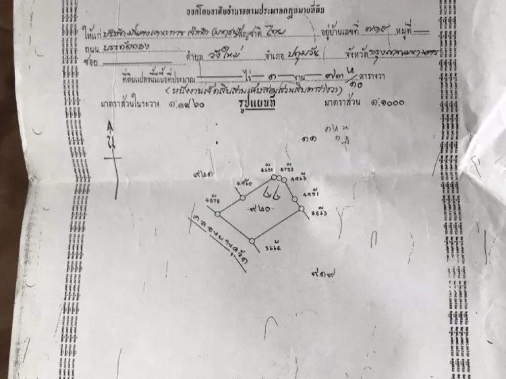 ขายที่ดินในสนาม กอล์ฟ ฟลอร่า วิลล์ กอล์ฟ แอนด์ คันทรี คลับ