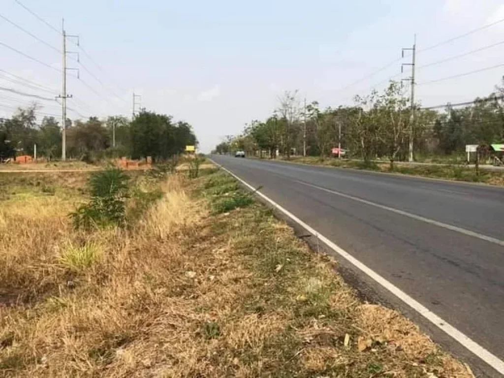 ขายที่ดินสวย 6 ไร่ หนองบัว ติดถนนเส้นหลัก ขอนแก่น-ชุมแพ ทำเลดี เดินทางสะดวก ย่านเศรษฐกิจ