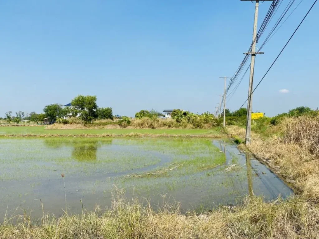 ขายที่ดิน 16ไร่ ติดถนนสายธัญบุรี วังน้อย ถนนธัญบุรี-วังน้อย ตำบลคลองเจ็ด อำเภอคลองหลวง ปทุมธานี