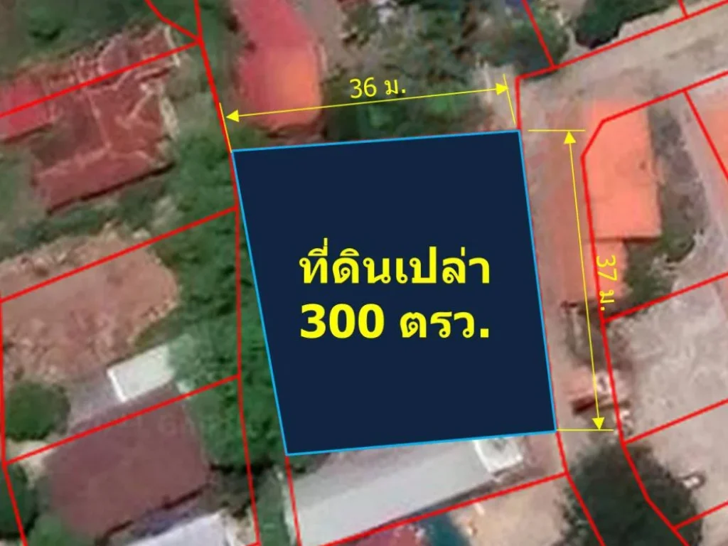 ขายที่ดินเปล่า 300 ตรว บ้านถวาย ตหนองแก๋ว อหางดง