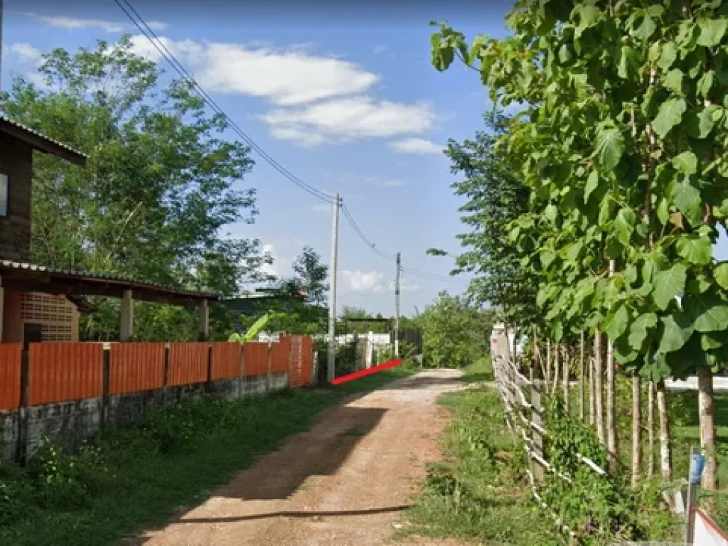 ขายที่ดินจัดสรร 100 ตรว ทำเลดี ตพิชัย อเมือง จลำปาง