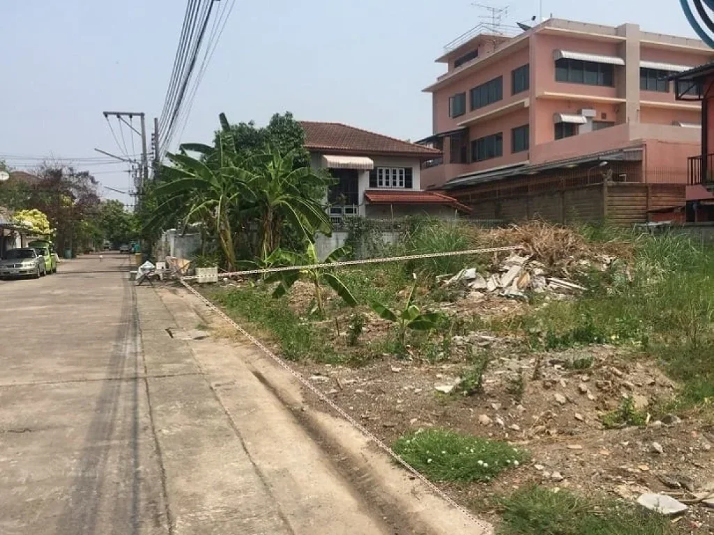 ขายถูก ที่ดินเปล่าถมแล้ว มรังสิยา 126 ตรว ซอุดมสุข 58 สุขุมวิท 103 ทำเลดี เดินทางสะดวก