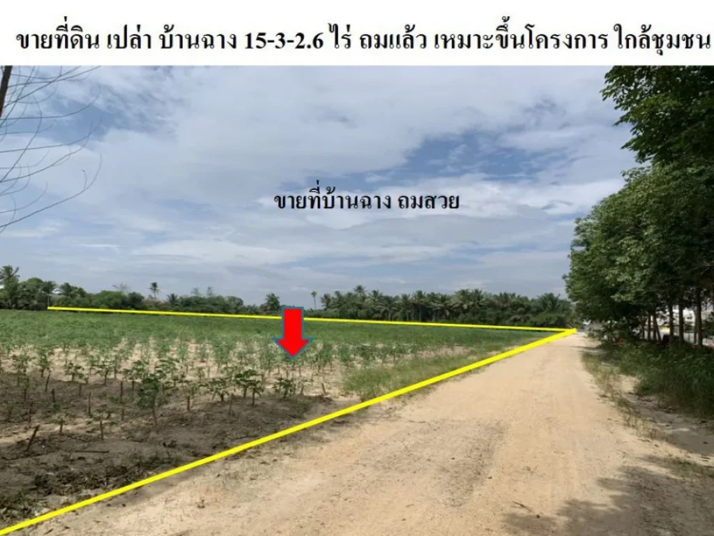 ขายที่ดิน บ้านฉาง ระยอง 15-3-26 ไร่ เหมาะสร้างหมู่บ้านจัดสรร หรือสร้างหอพัก