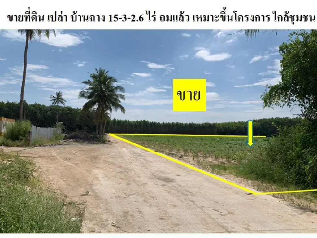 ขายที่ดิน บ้านฉาง ระยอง 15-3-26 ไร่ เหมาะสร้างหมู่บ้านจัดสรร หรือสร้างหอพัก