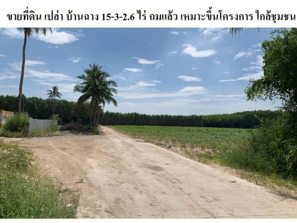 ขายที่ดิน บ้านฉาง ระยอง 15-3-26 ไร่ เหมาะสร้างหมู่บ้านจัดสรร หรือสร้างหอพัก