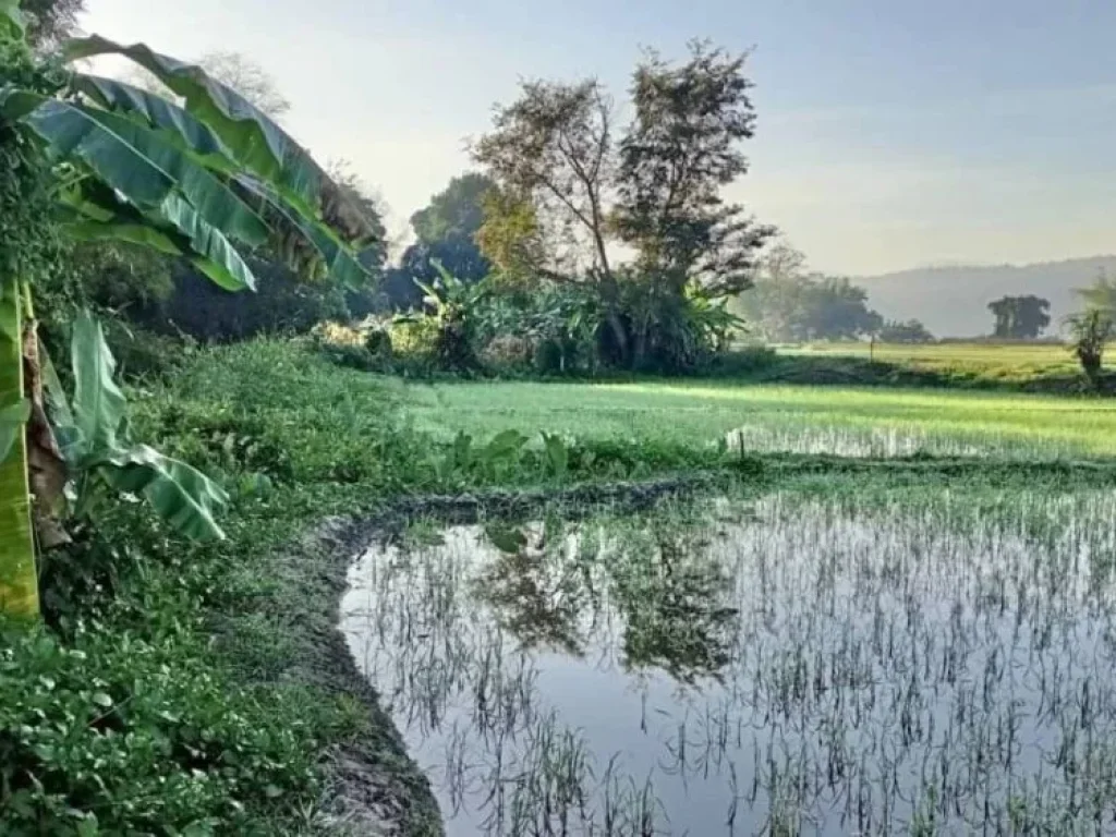 ขายที่ดินวิวภูเขา ติดลำน้ำแม่ริม จเชียงใหม่