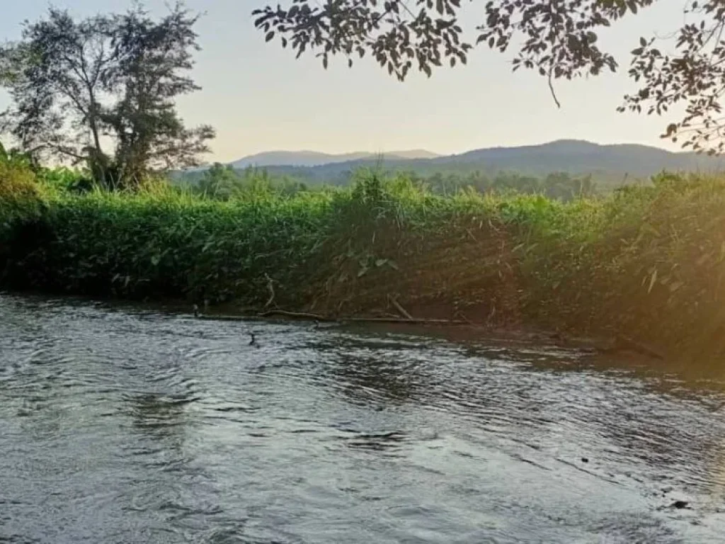 ขายที่ดินวิวภูเขา ติดลำน้ำแม่ริม จเชียงใหม่