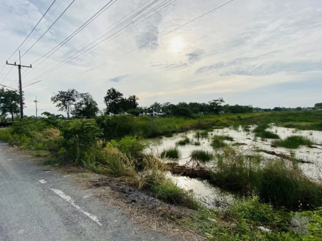 ขายที่ดิน 2 ไร่ ถนน ธัญบุรี วังน้อย คลองหก ปทุมธานี