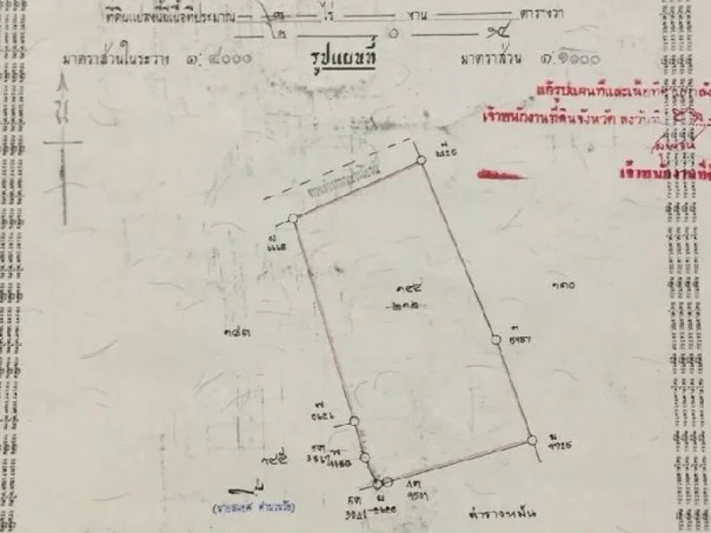 ขายที่ดินแปลงสวย ถนนป่างิ้ว-วิเศษ ทำเลดี แหล่งชุมชน ในอำเภอเมือง ใกล้ขนส่ง อ่างทอง