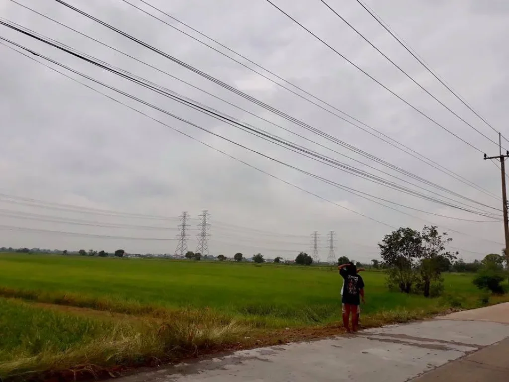 ขายที่ดิน ถนนรังสิต ลำลูกกาคลอง8 ตำบลลำลูกกา อำเภอลำลูกกา จปทุมธานี ทำเล ใกล้วัดดอนใหญ่ ใกล้บิ๊กซี โลตัส โรงเรียนสารสาร์ท ใกล้หมู่บ้านพฤกษา7