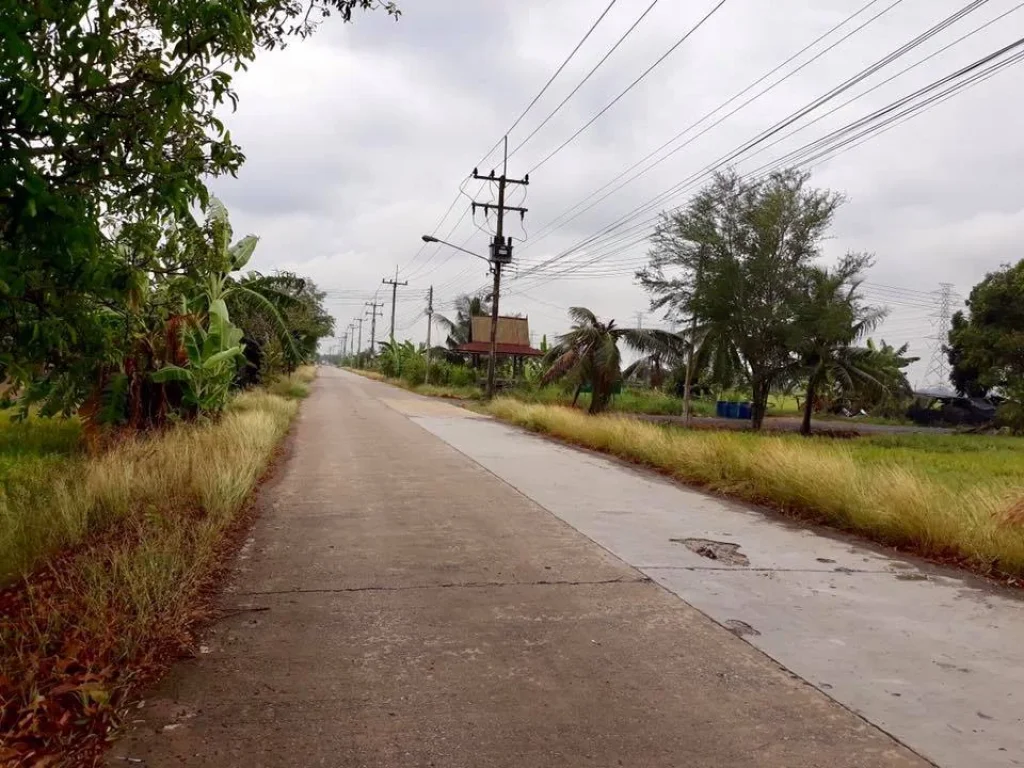 ขายที่ดิน ถนนรังสิต ลำลูกกาคลอง8 ตำบลลำลูกกา อำเภอลำลูกกา จปทุมธานี ทำเล ใกล้วัดดอนใหญ่ ใกล้บิ๊กซี โลตัส โรงเรียนสารสาร์ท ใกล้หมู่บ้านพฤกษา7