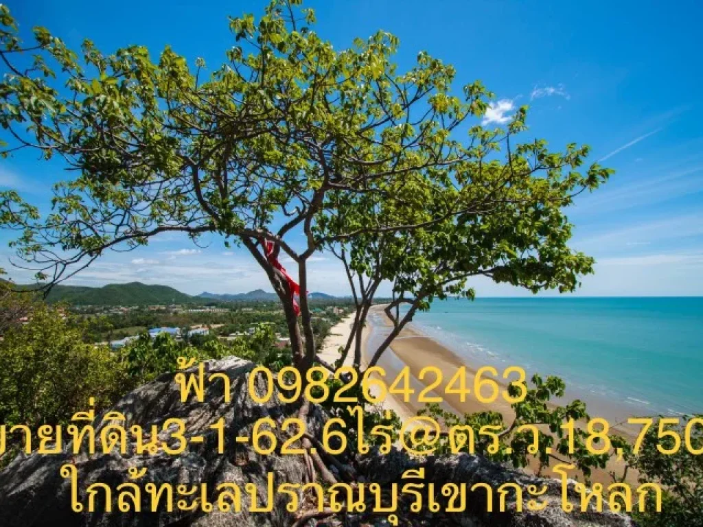 ขายที่ดิน 3-1-626 ไร่ ใกล้ทะเลปราณบุรี จประจวบฯ