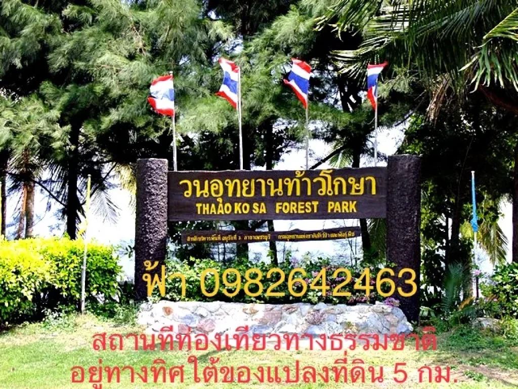 ขายที่ดิน 3-1-626 ไร่ ใกล้ทะเลปราณบุรี จประจวบฯ