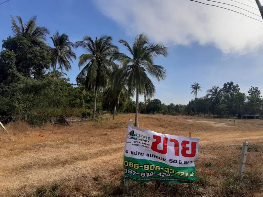 ขาย ที่ดิน 4 แปลง ถมแล้ว ใกล้หาดสามร้อยยอด มีถนนเข้าถึงทุกแปลง วิวภูเขา หันหน้าทิศตะวันออก