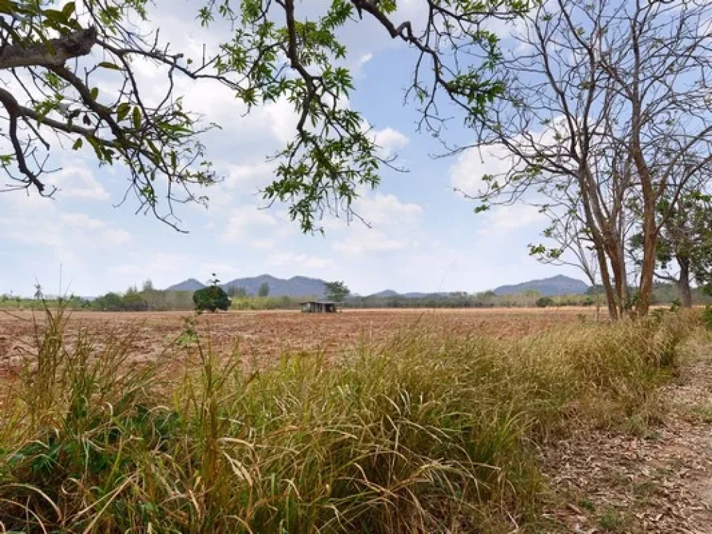 ขาย ที่ดิน เขาใหญ่ ตรงข้ามคีรีมายา 66 ไร่ 57 ตรวา แปลงสวยติดถนน เหมาะทำโรงแรม รีสอร์ท