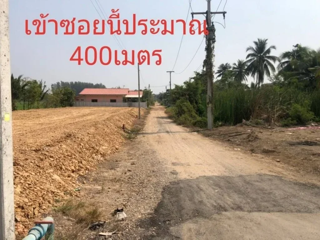 ด่วนที่ดินคลอง 9 หนองเสือ ปทุม 50 ตรว 250000 บาท มีทั้งหมด 6 ล็อก โฉนดแบ่งแยกพร้อมโอนแล้ว