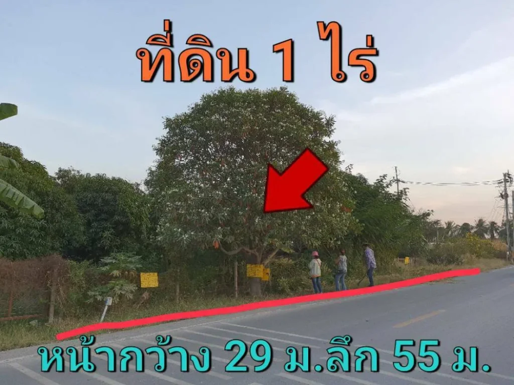 ขายที่ดิน 1 ไร่ ติดถนน นบ3015 ถมแล้วพร้อมสวนผสมผสาน ตำบลไทรใหญ่ อำเภอไทรน้อย นนทบุรี