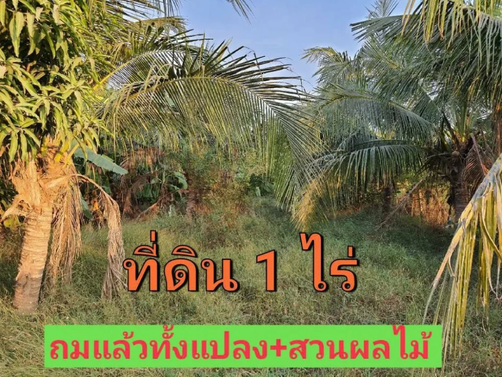 ขายที่ดิน 1 ไร่ ติดถนน นบ3015 ถมแล้วพร้อมสวนผสมผสาน ตำบลไทรใหญ่ อำเภอไทรน้อย นนทบุรี