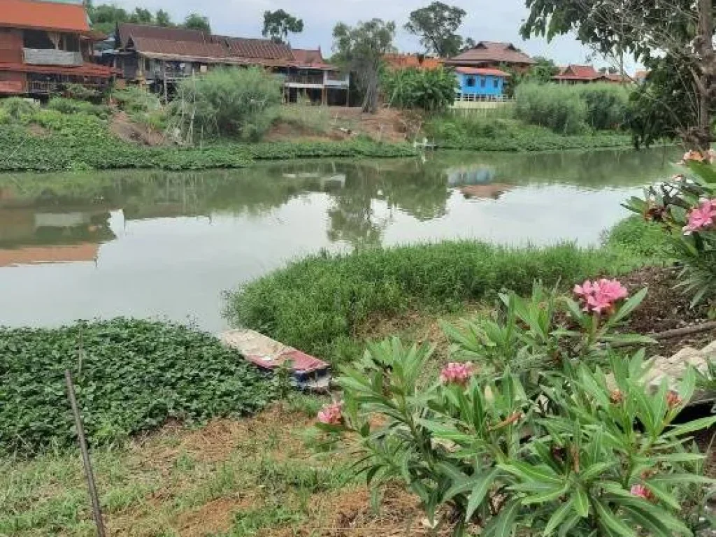 บ้านริมน้ำพร้อมสวนผลไม้ อำเภอวิเศษชัยชาญ จังหวัดอ่างทอง