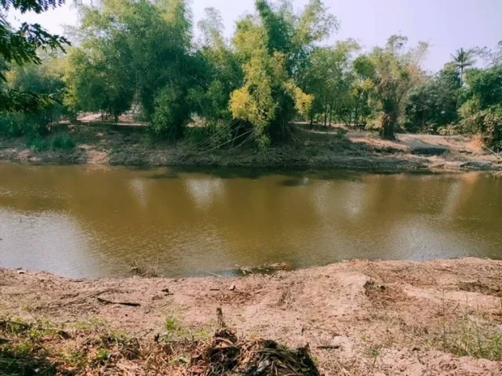 ขายด่วนที่ดินแปลงสวยติดคลอง ตวังลึก อสามชุก จสุพรรณบุรี