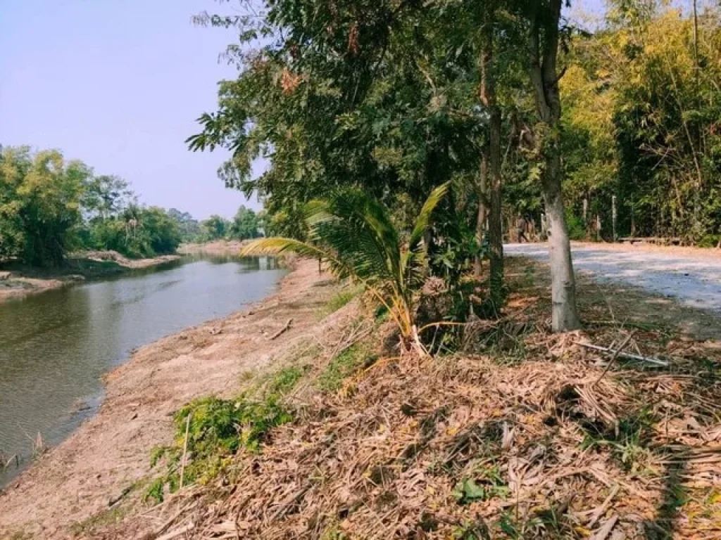 ขายด่วนที่ดินแปลงสวยติดคลอง ตวังลึก อสามชุก จสุพรรณบุรี