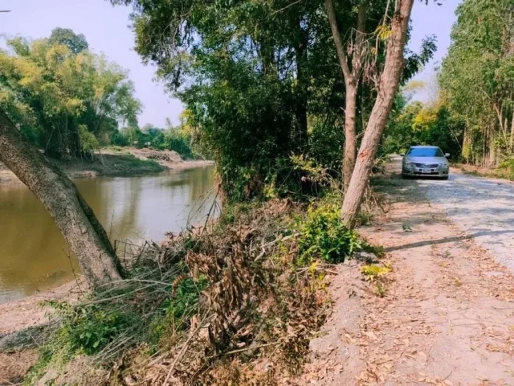 ขายด่วนที่ดินแปลงสวยติดคลอง ตวังลึก อสามชุก จสุพรรณบุรี