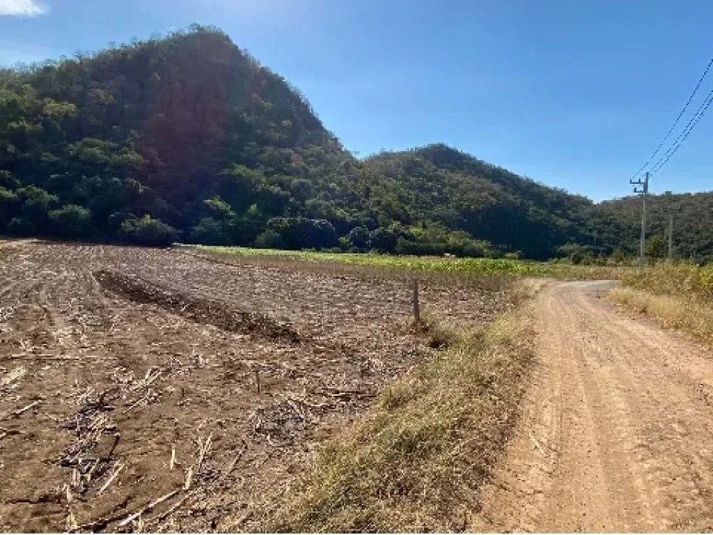 ที่ดินติดภูเขา หนองน้ำแดง เขาใหญ่ 7ไร่ หน้าติดถนนสาธารณะ หลังติดเขา วิวเขาล้อมรอบ