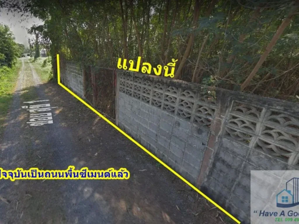 ที่ดินเปล่า 99 ตรวา ซรังสิต-ปทุมธานี37ซสุขี118 บางพูน ปทุมธานี