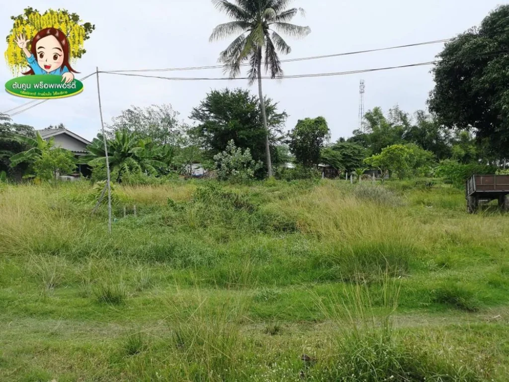 ขายที่ดินสำหรับสร้างบ้าน ซอยทุ่งหว้า ตรงข้ามศูนย์เบนซ์ เมืองอุบล