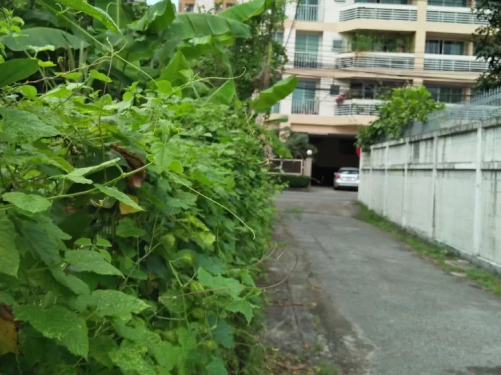 RENT LAND SMALL CLOSED ROAD IN THE SOI SUKHUMVIT 71 suitable for project Phrakhanong Payment the rental per Year 2021