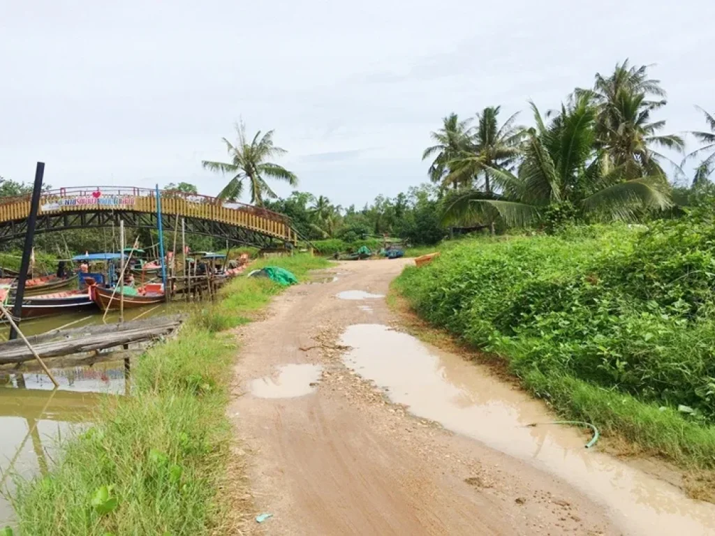 ขายที่ดิน แปลงสวย ด้านหน้าติดทะเล เนื้อที่ 8 ไร่ จชุมพร