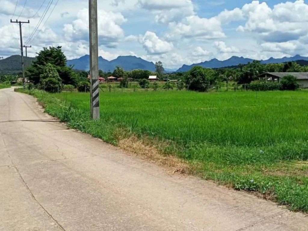 ขายที่ดินวิวดอยหลวงเมืองงาย เชียงดาว ถนนคอนกรีต ราคาถูก