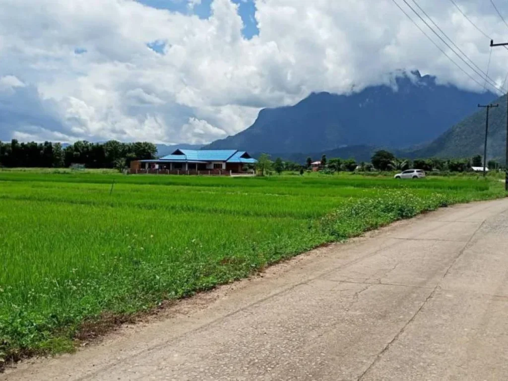 ขายที่ดินวิวดอยหลวงเมืองงาย เชียงดาว ถนนคอนกรีต ราคาถูก