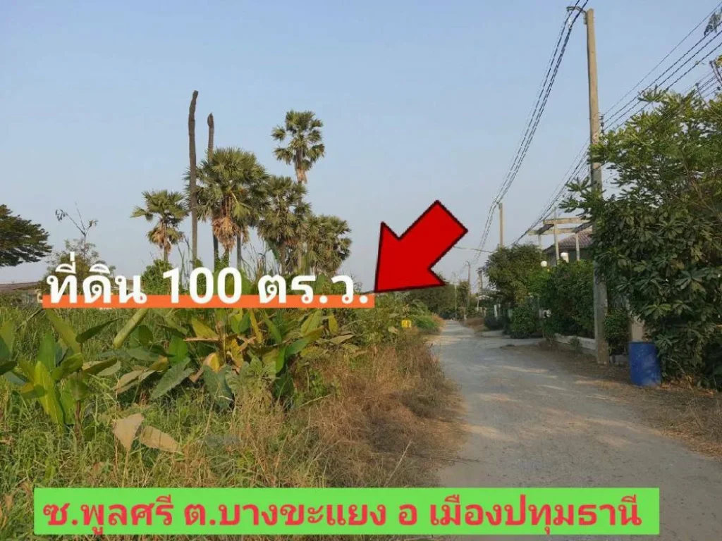 ขายที่ดินราคาถูก 100 ตารางวา ซอย พูลศรี ใกล้แยกบางคูวัด อำเภอ เมืองปทุมธานี