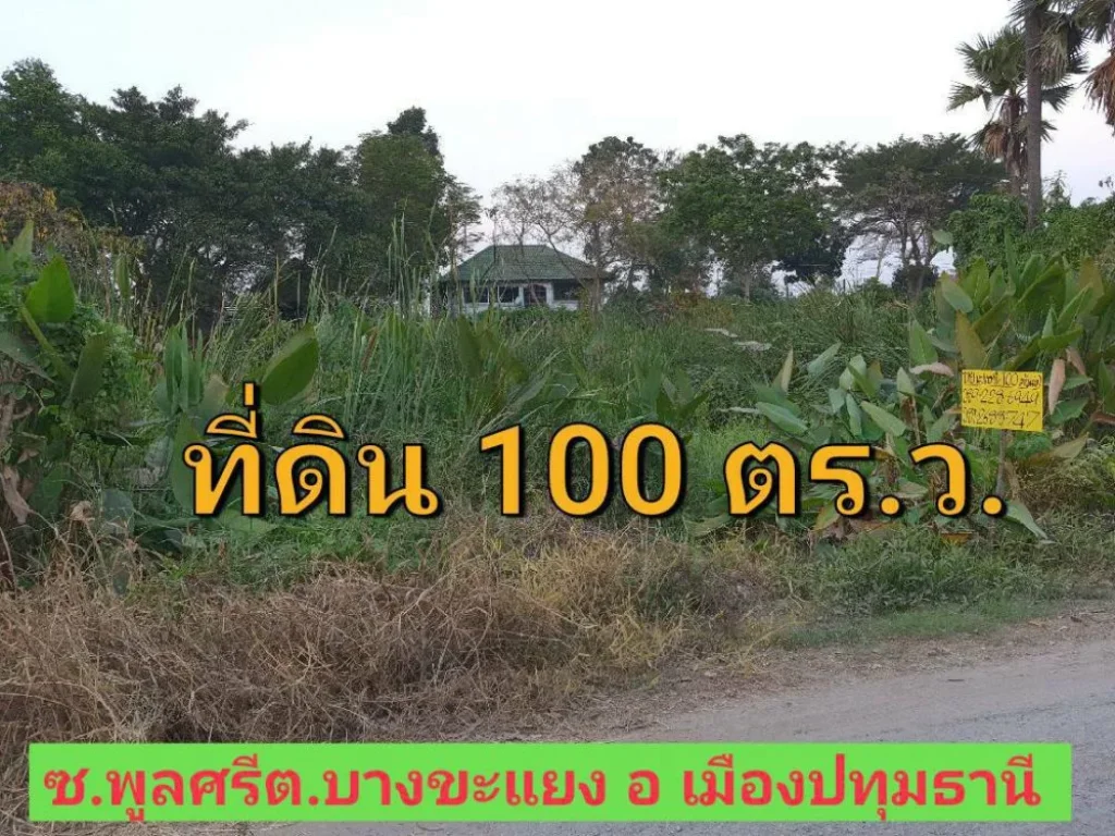 ขายที่ดินราคาถูก 100 ตารางวา ซอย พูลศรี ใกล้แยกบางคูวัด อำเภอ เมืองปทุมธานี