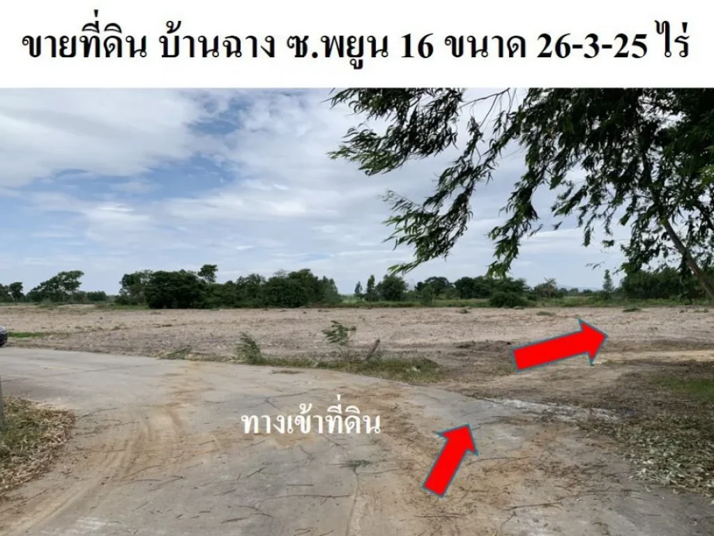 ขายที่ดิน บ้านฉางระยอง หน้ากว้าง 26-3-25 ไร่ ตำบลบ้านฉาง อำเภอบ้านฉาง เหมาะสร้างโครงการหมู่บ้าน