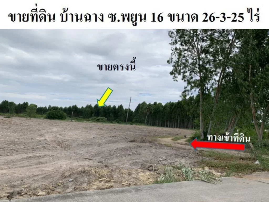 ขายที่ดิน บ้านฉางระยอง หน้ากว้าง 26-3-25 ไร่ ตำบลบ้านฉาง อำเภอบ้านฉาง เหมาะสร้างโครงการหมู่บ้าน