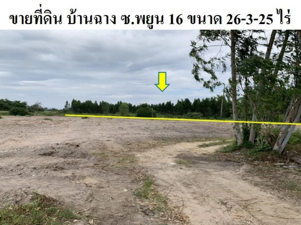 ขายที่ดิน บ้านฉางระยอง หน้ากว้าง 26-3-25 ไร่ ตำบลบ้านฉาง อำเภอบ้านฉาง เหมาะสร้างโครงการหมู่บ้าน