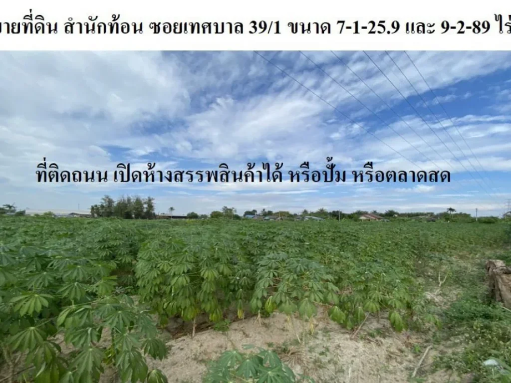 ขายที่ดิน บ้านฉาง ระยอง 9-2-89และ 7-1-259 ไร่ เหมาะสร้างหมู่บ้านจัดสรร หรือห้าง หรือปั้ม