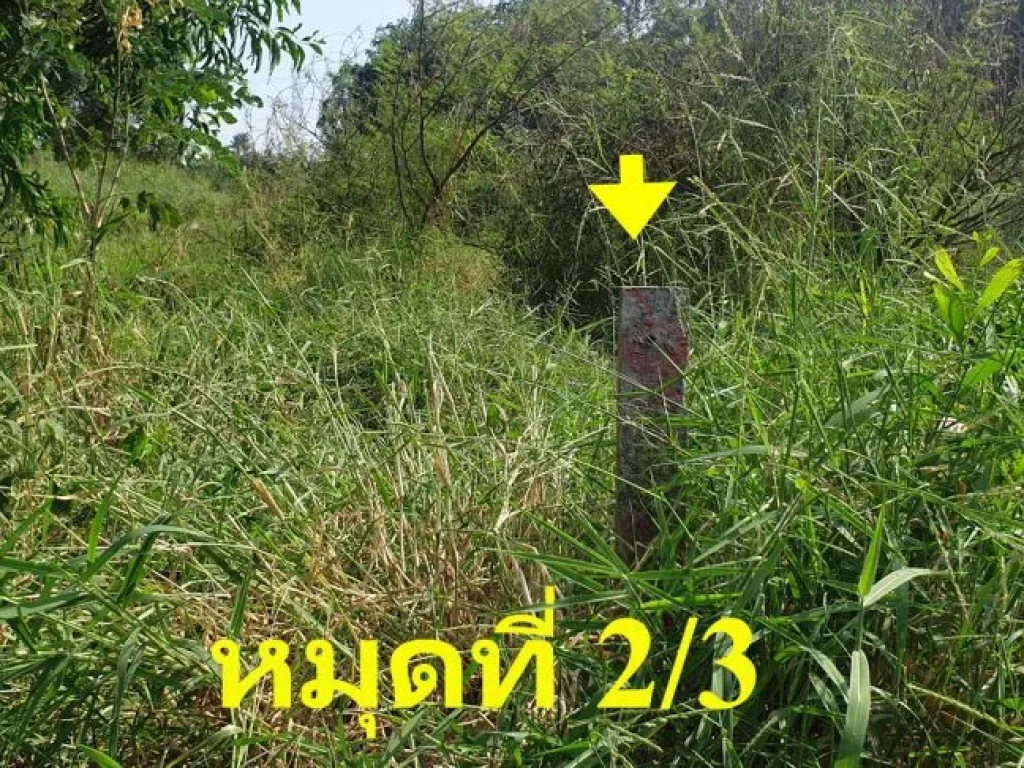 ขายที่ดินซอยสุวินทวงศ์ 28 แยก 26 ถมแล้ว 150 ตรว ด้านข้างติดคลอง หน้าติดถนนสาธารณะ