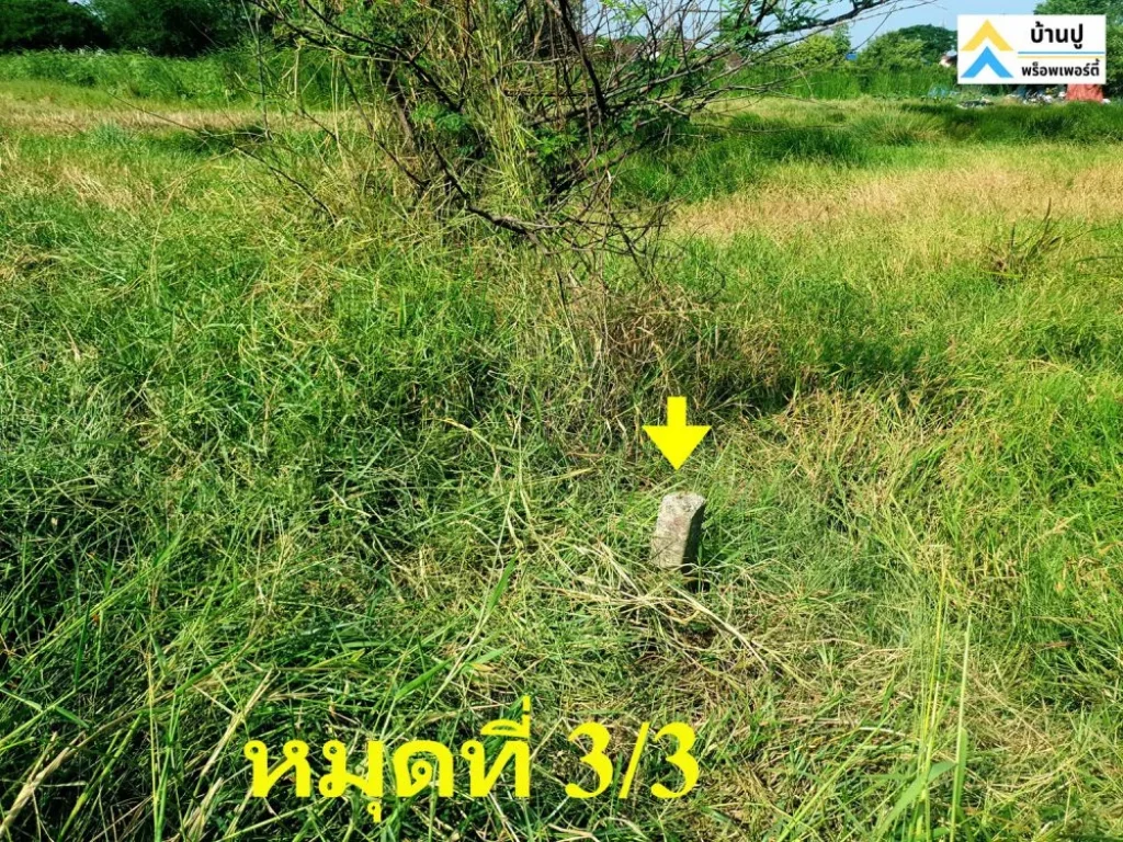 ขายที่ดินซอยสุวินทวงศ์ 28 แยก 26 ถมแล้ว 150 ตรว ด้านข้างติดคลอง หน้าติดถนนสาธารณะ