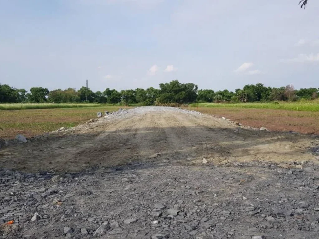 ขายที่ดินในกรุงเทพฯ เขตหนองจอก 100 ตรว ติดถนนราคาถูก